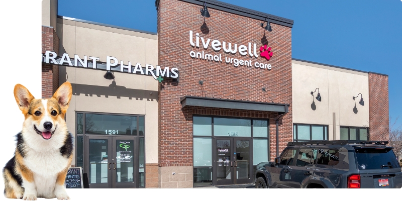 Livewell Animal Urgent Care of Colorado Springs