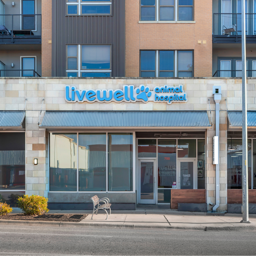 Livewell Animal Hospital of Austin Livewell Animal Hospital of Austin from the outside