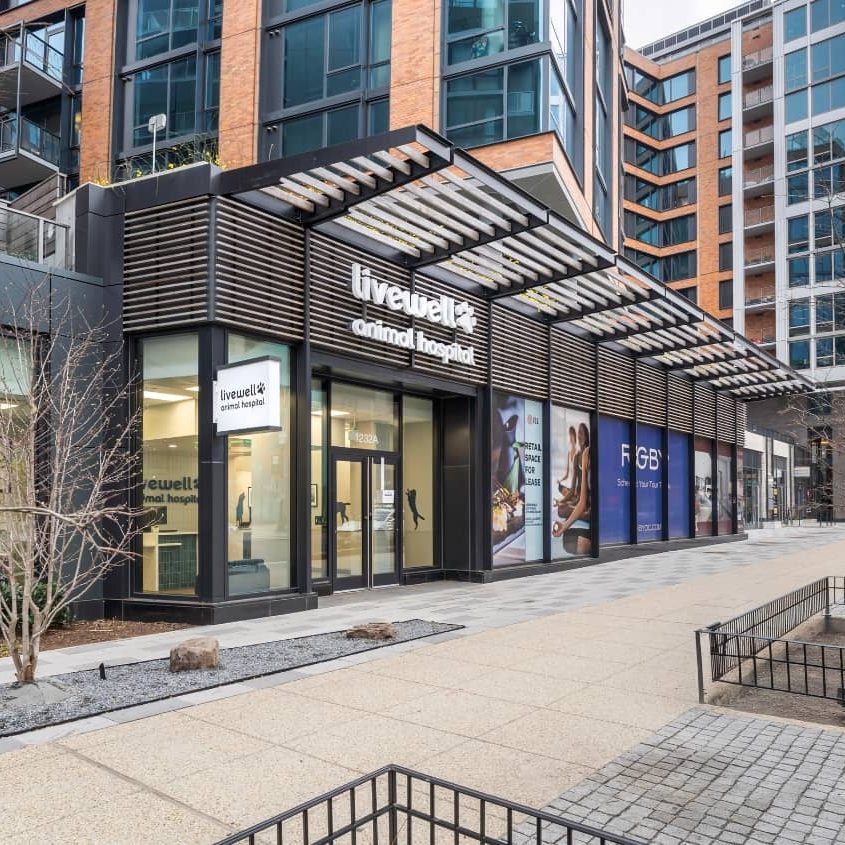 Livewell Animal Hospital of NoMa Livewell Animal Hospital of NoMa's exterior