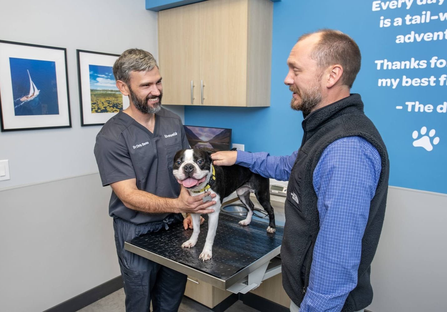 Livewell Animal Hospital of Riverview Exam