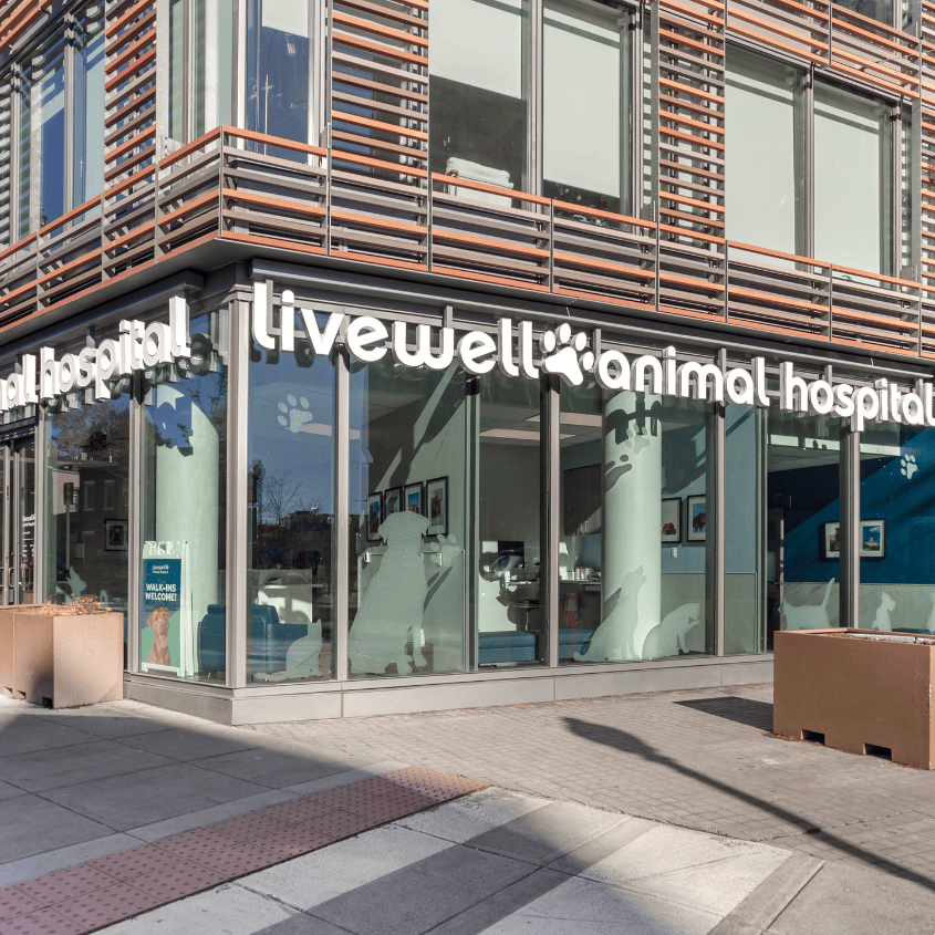 Livewell Animal Hospital of Shaw A angled view of the front of A front angled view of the hospital location