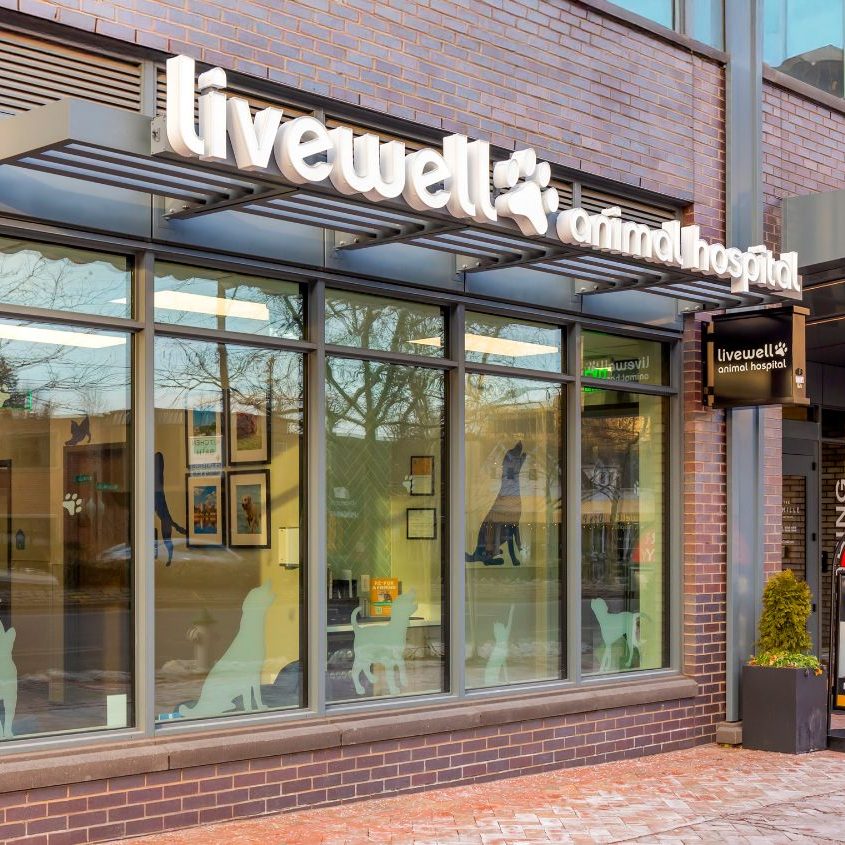 Livewell Animal Hospital of Chevy Chase Another view of the exterior of Livewell Animal Hospital of Chevy Chase